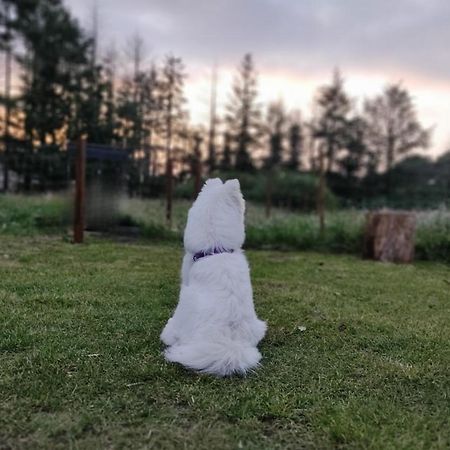 A L'Ombre Des Bois, Chambre Double Confort Neung-sur-Beuvron Zewnętrze zdjęcie